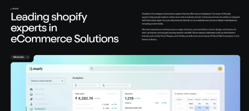 Custom Shopify Development Company in Coimbatore in Coimbatore - Image 1