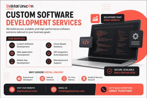 Custom Software Development Services | Digital Unicon in Gurgaon - Image 1