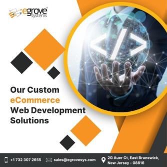 Custom WordPress Development Services by eGrove Systems in Chennai - Image 1