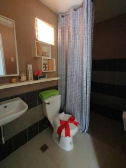 DANA HOUSE CAMELLA RIVERFRONT PIT OS CEBU CITY in Consolacion - Image 11