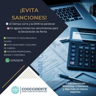DECLARACIONES DE RENTA en Cali - Imagen 2