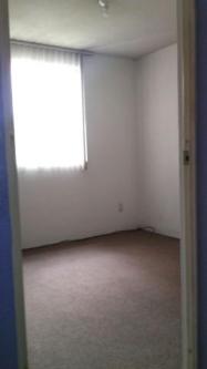 DEPARTAMENTO EN RENTA EN SAN PEDRO DE LOS PINOS. en Tacubaya - Imagen 4