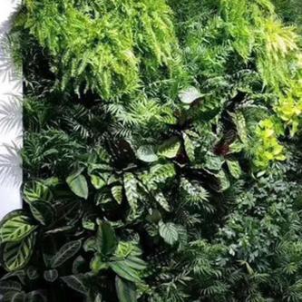 DYRUIDOJ Artificial Plant Wall Panel, UV Protection DIY … in Johor Bahru - Image 1