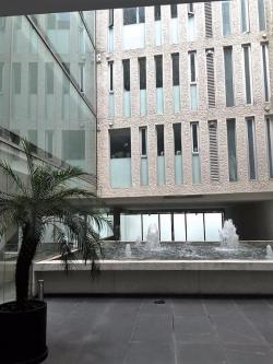 Departamento en Renta en la Colonia Polanco - Imagen 2