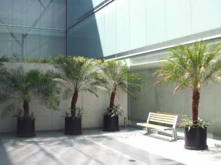 Departamento en Renta en la Colonia Polanco - Imagen 19