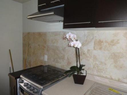 Departamento en Renta en Coyoacán - Imagen 8