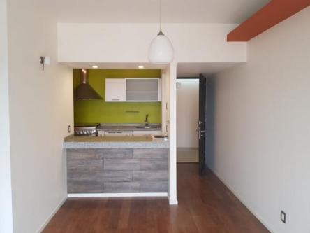Departamento en Renta en la Colonia Mixcoac - Imagen 4