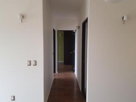 Departamento en Renta en la Colonia Mixcoac - Imagen 10