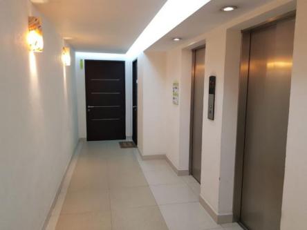 Departamento en Renta en la Colonia Mixcoac - Imagen 15