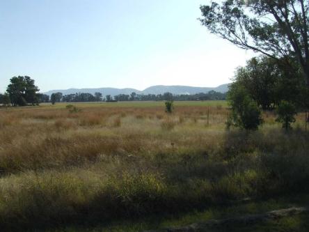 Developers dream! in Pretoria - Image 1
