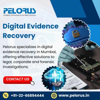 Digital Evidence Recovery in Worli - Image 1