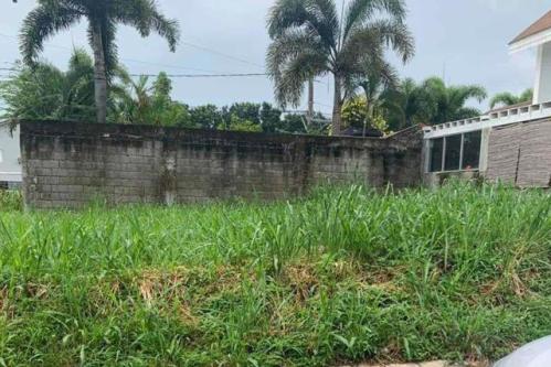 Don Jose, Santa Rosa, Lot For Sale in Tayabas - Image 1