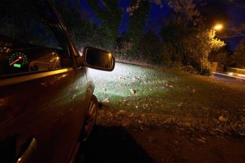 Drive Thru Cocksucking in Dundalk - Image 1