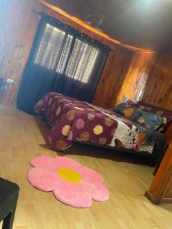 EMPLEO PARA CHICAS PRIVADO VIP, VILLA ALEMANA en Penco - Imagen 3