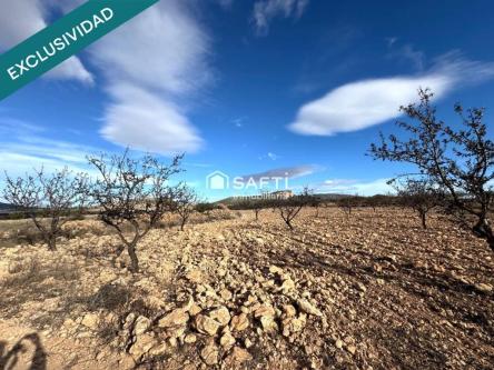 EXCLUSIVA OPORTUNIDAD – PARCELAS RÚSTICAS EN CASAS DE … en Catarroja - Imagen 1