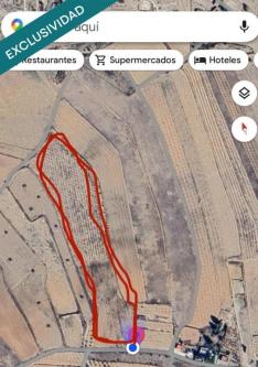 EXCLUSIVA OPORTUNIDAD – PARCELAS RÚSTICAS EN CASAS DE … en Elda - Imagen 1