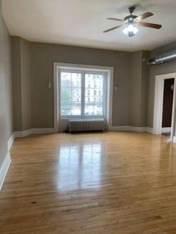 Elk St Apt,albany, Home For Rent in Albany - Image 1