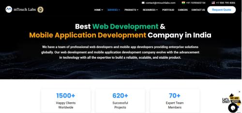 Empower Your Business with Custom Software Development in Hyderabad - Image 1