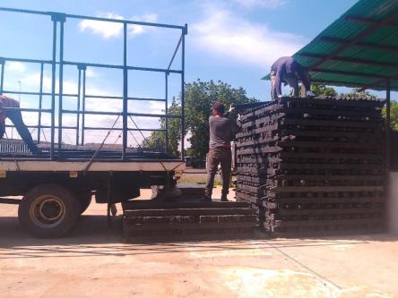 Estantillo plastico en Maracaibo - Imagen 2
