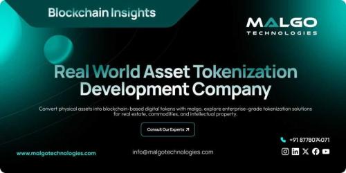 Expert Real World Asset Tokenization Development Company in Pune - Image 1
