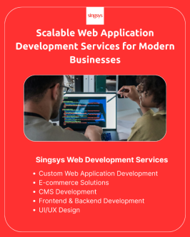Expert Web Application Development Services in India in Lucknow - Image 1