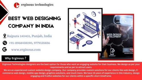 Expert Web Designing Company In India| Erginous Technologies in Ambāla - Image 1