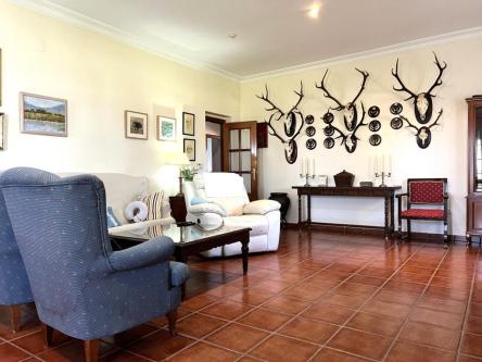 FANTASTICA CASA RUSTICA en Don Benito - Imagen 1