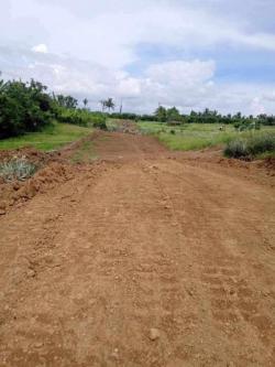 FARM AND LOT FOR SALE in Trece Martires - Image 6
