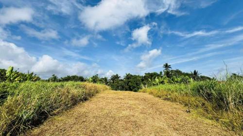 FARM AND LOT FOR SALE in Trece Martires - Image 7