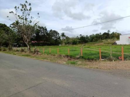 FARM AND LOT FOR SALE in Trece Martires - Image 12