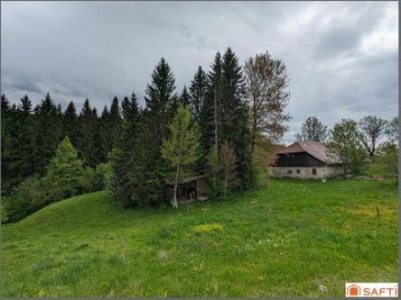 FERME A RENOVER à Thonon-les-Bains - Photo 1