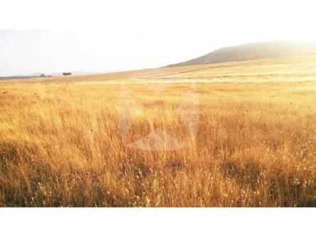 FINCA RÚSTICA EN VENTA en Cáceres - Imagen 1