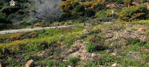 FINCA RÚSTICA EN VILLASEVIL en Estepona - Imagen 1