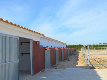 FINCA RUSTICA en Torrevieja - Imagen 1