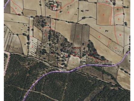 FINCA RÚSTICA en Navalcarnero - Imagen 1
