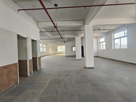 FOR RENT 1000 MTR BUILDING in Gautam Budh Nagar - Image 3