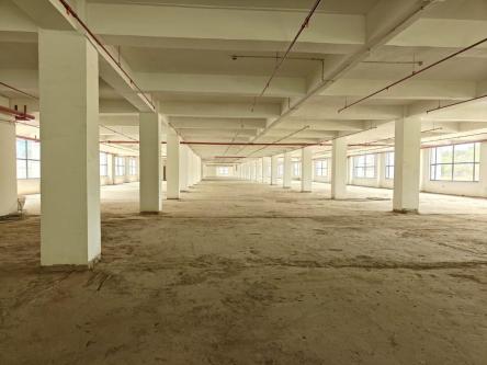 FOR RENT 250 MTR BUILDINGP in Noida - Image 2