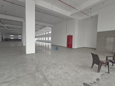 FOR RENT 250 MTR BUILDINGP in Noida - Image 3