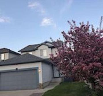 FOREVER HOME! in Calgary - Image 1