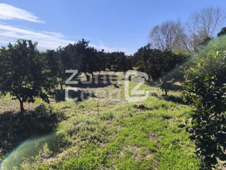 Finca Rustica Venta Carcaixent en Carcaixent - Imagen 1