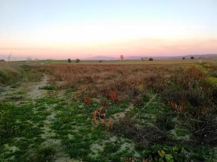 Finca Rústica en Venta en Ríolobos, Cáceres en València - Imagen 5
