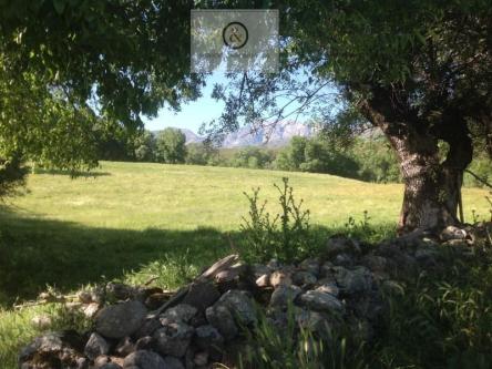 Finca de 16Hectareas con edificaciones en Talavera de la Reina - Imagen 1