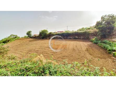 Fincas Rústicas en La Orotava - Imagen 1