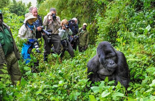 Flight booking in Kigali Rwanda | Blueberry Travel Rwanda in Chhindwāra - Image 1