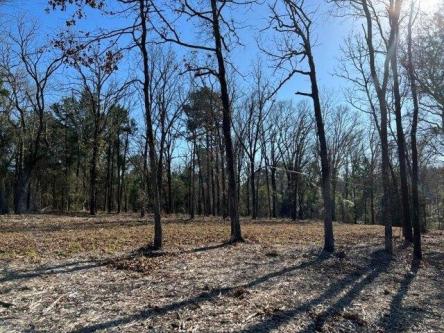 Fm Rd W, Lindale, Plot For Sale in Tyler - Image 1