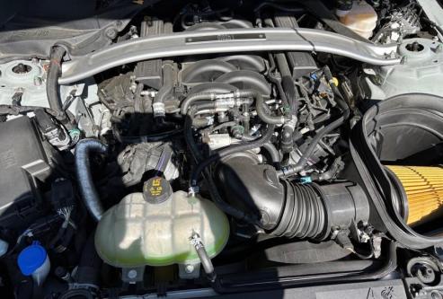 Ford Mustang Mach 1 in Karlsruhe - Bild 6