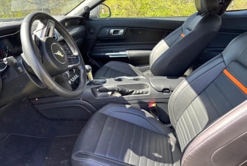 Ford Mustang Mach 1 in Karlsruhe - Bild 7