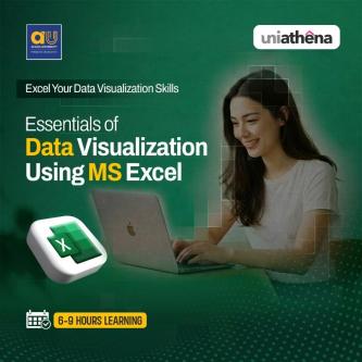 Free Certificate Course in Data Visualization with Excel | in Jammu - Image 1