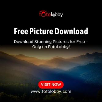 Free Picture Download in Gurgaon - Image 1