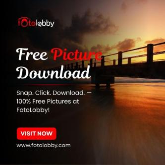 Free Picture Download in Gurgaon - Image 1